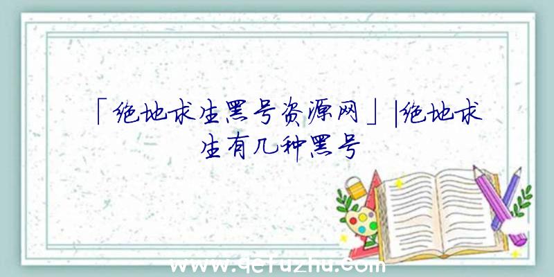 「绝地求生黑号资源网」|绝地求生有几种黑号